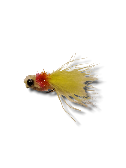 Kaktushoved "Fritz" 1,5g Gul