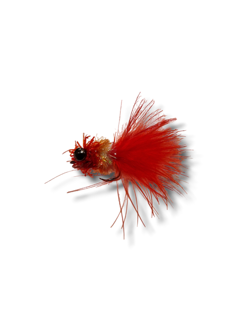 Kaktushoved "Fritz" 1,5g Rød