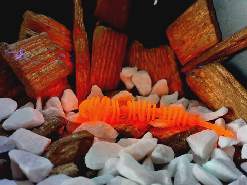 Trout Rocker Balls Fluo Rot