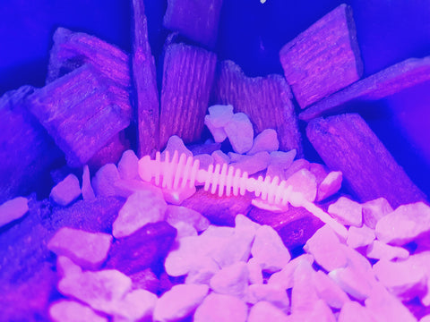 Trout Rocker Balls Fluo Bubble Gum